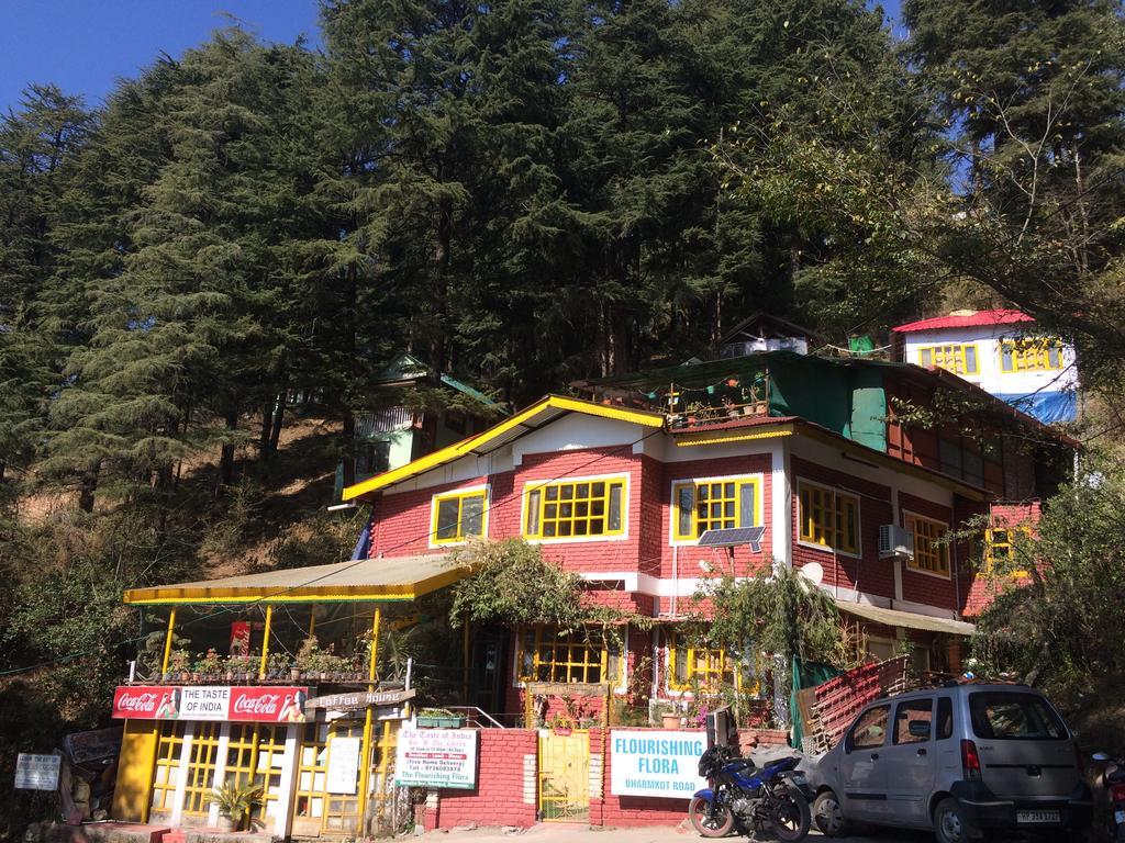 Mcleodganj Bed & Breakfast McLeod Ganj Dış mekan fotoğraf